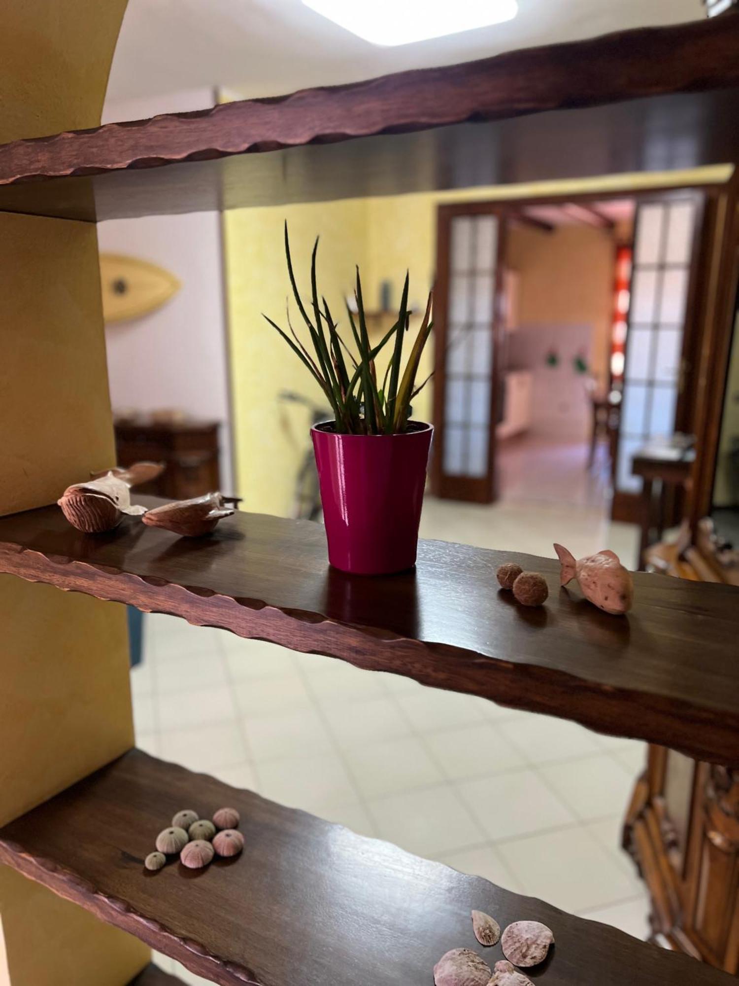 Casa Maestrale Apartment Gonnesa Luaran gambar
